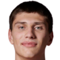 亚利桑那大学