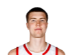 灰熊