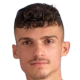 地拉那游击